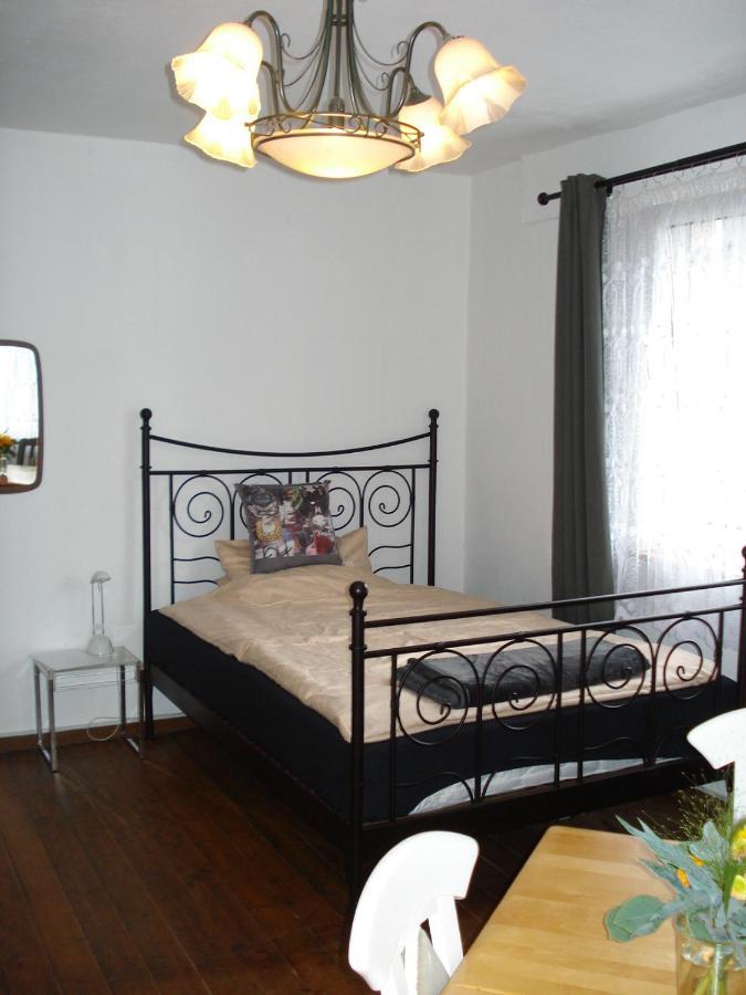 Appartement 25 Qm Mit Bad An Der Mosel - Naehe Koblenz ディーブリヒ エクステリア 写真