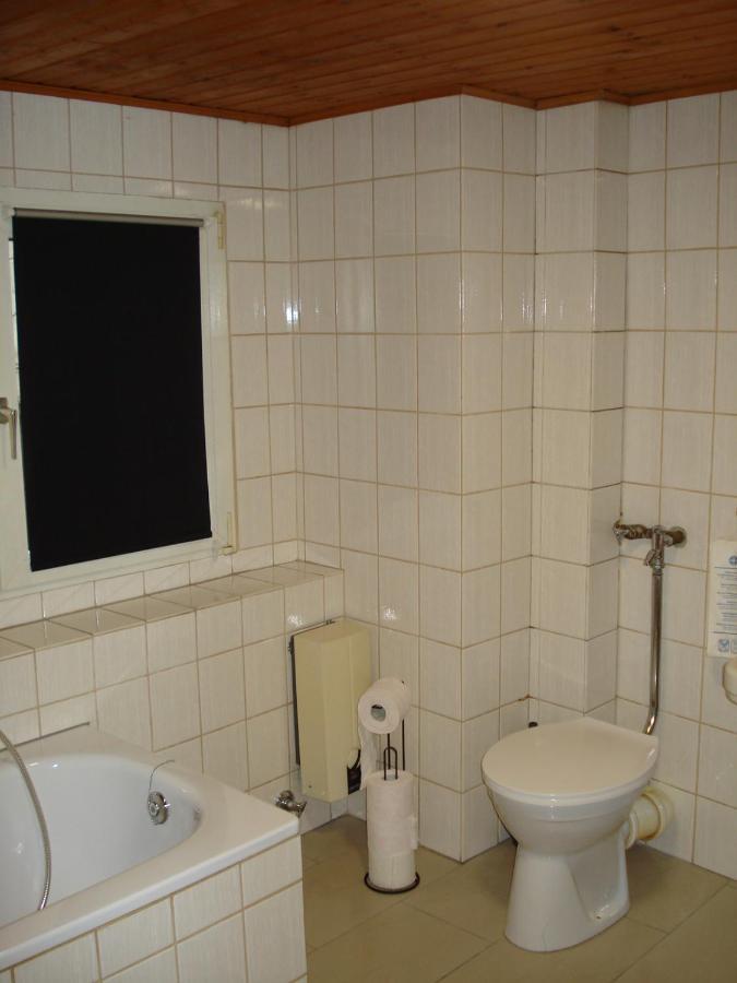 Appartement 25 Qm Mit Bad An Der Mosel - Naehe Koblenz ディーブリヒ エクステリア 写真